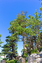 natural stone located on a mountain plateau, sights, places visited by tourists.*