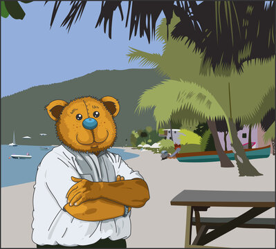 Ours sur une plage antillaise