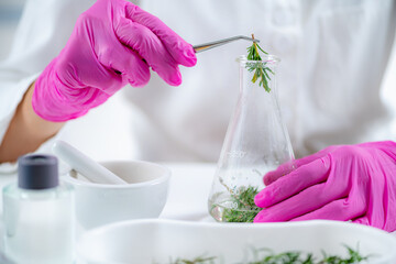 Obraz na płótnie Canvas Fragrance Laboratory. Scientist Mixing Plants, Preparing Fragrance Ingredients.