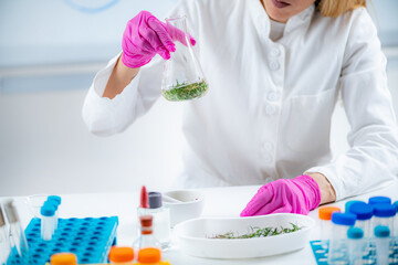 Perfumer Holding Flask with Plants, Making Fragrances.