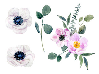 Handpainted watercolor flowers set, anemones and eucalyptus bouquet.  Watercolor botanical illustration isolated.