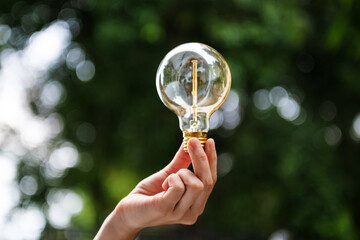 Hand holding light bulb with green background. idea solar energy in nature concept