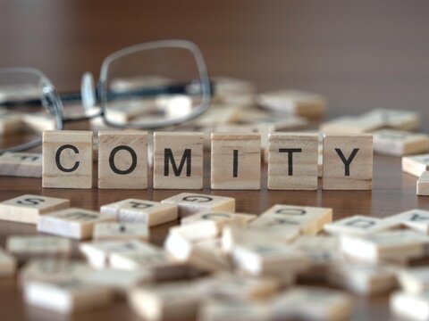 comity word or concept represented by wooden letter tiles on a wooden table with glasses and a book