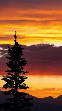 Time lapse of vibrant sunset looking past single tree on mountain top in Utah during summer.