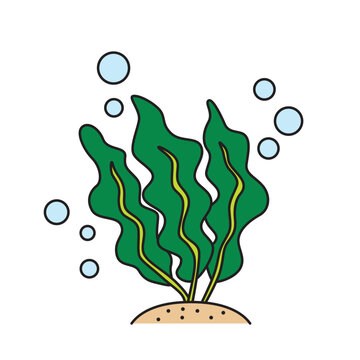 recommend clip art: シンプルで可愛いワカメのクリップアート　イラスト　ベクター　白背景