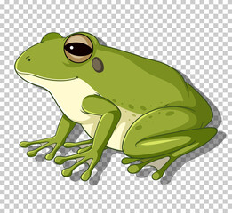 Green frog in flat cartoon style