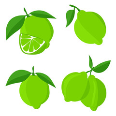 Set with limes.Cutting citrus fruits into slices, slices, circles.Ripe fresh limes on a tree branch