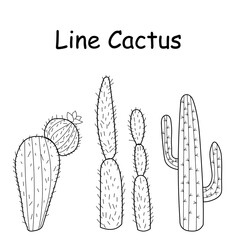 Vector doodle illustration of cactus. Set of hand drawn cactus elements. Doodle mexican cactus