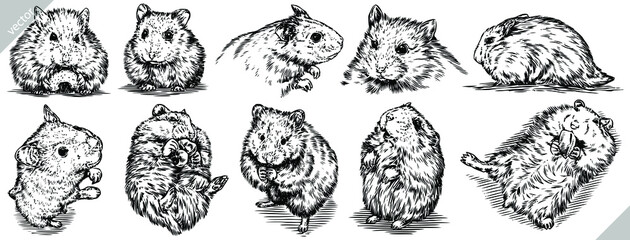 Vintage engrave isolated hamster set illustration ink rat sketch. Wild mouse background line guinea pig vector art - obrazy, fototapety, plakaty