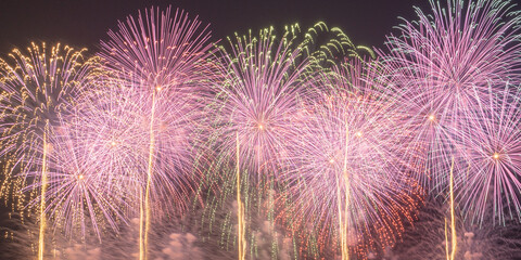 ピンク色の鮮やかな花火 / Vivid pink fireworks