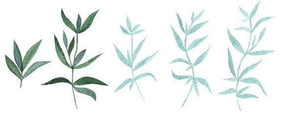 Naklejka na ściany i meble Hand drawn watercolor light and dark green colored wild plants and leaves isolated on white background. Aquarelle set of design elements.