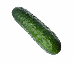 Fresh ripe green cucumber isolated on white