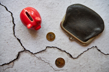 Świnka skarbonka, portmonetka i polskie monety 