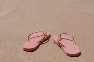 Fototapeta na wymiar Stylish pink flip flops on wet sand. Space for text