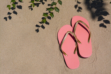 Fototapeta na wymiar Stylish pink flip flops near green plant on sandy beach, flat lay. Space for text