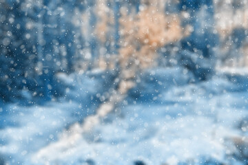 Fototapeta na wymiar blurred winter forest