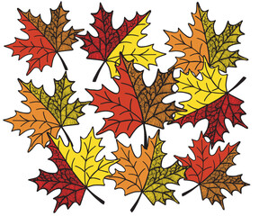 Fototapeta premium vintage openwork autumn maple leaves