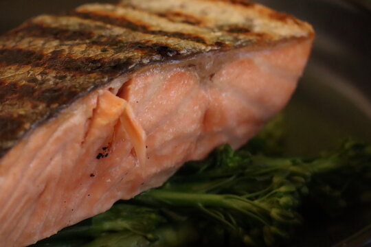 close up of salmon