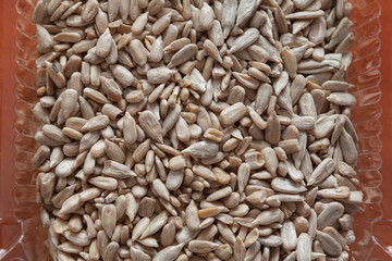Sunflower seeds. Helianthus Annuus . Harvested background