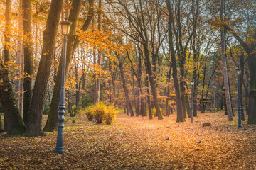 Path in Sofia park at golden autumn with lamp, Bulgaria