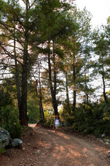 Fototapeta premium a traveler girl with a backpack walks along a forest road.