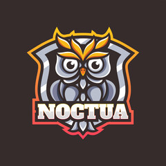 Vector Logo Illustration Owl E Sport and Sport Style.
