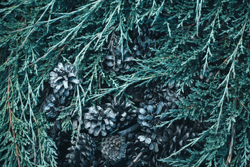 pine cones and fir branches