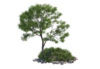 Big trees and shrubs on a white background.