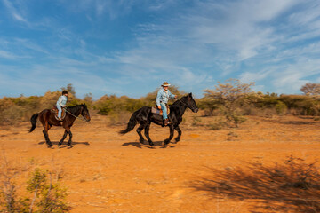 Riding school