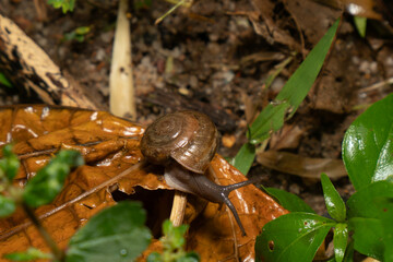 during the rain all day
taking pictures of playing animals