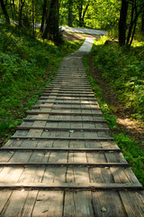 Wooden road in the forest, so as not to spoil the soil cover. The concept of environmental protection
