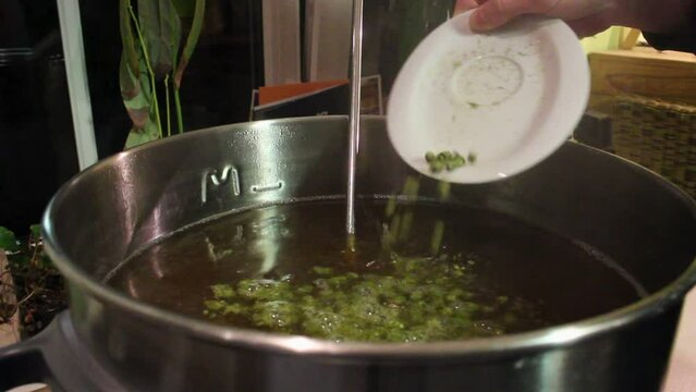 Green hops being poured into a stainless steel pot. Static close up footage of the hopping procedure of a home brewed beer