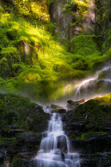 Naklejka na ściany i meble Proxy Falls in the Cascade Mountains in Central Oregon