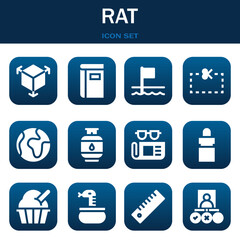 rat icon set. Vector illustrations related with 3d, Book and Flags