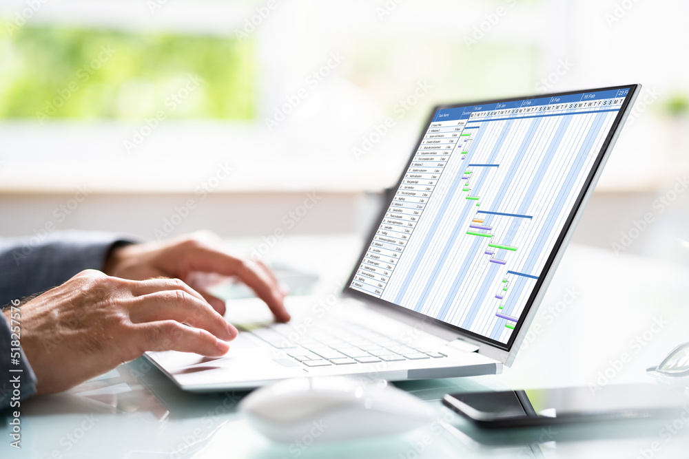 Poster Gantt Gantt Software Project