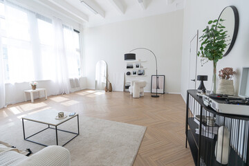 super white simple clean and stylish interior with modern furniture in nude color and contrasting black elements. luxury design of a large bright room living room