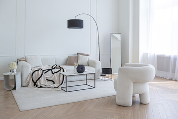 super white simple clean and stylish interior with modern furniture in nude color and contrasting black elements. luxury design of a large bright room living room