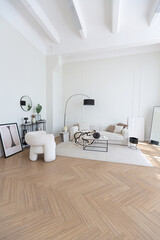 super white simple clean and stylish interior with modern furniture in nude color and contrasting...