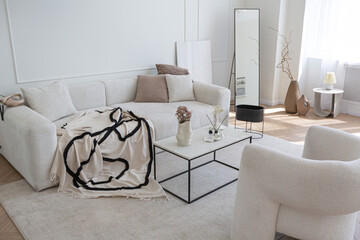 super white simple clean and stylish interior with modern furniture in nude color and contrasting black elements. luxury design of a large bright room living room