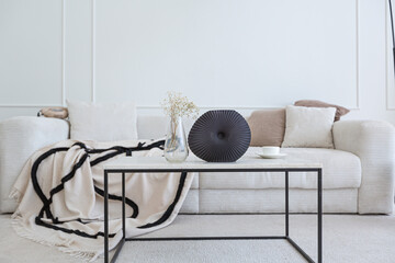 super white simple clean and stylish interior with modern furniture in nude color and contrasting black elements. luxury design of a large bright room living room