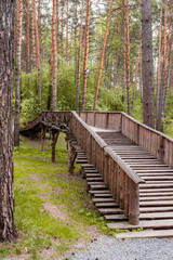 Wooden, pedestrian bridge across the river in the park or in the forest. Bridge and walking path.