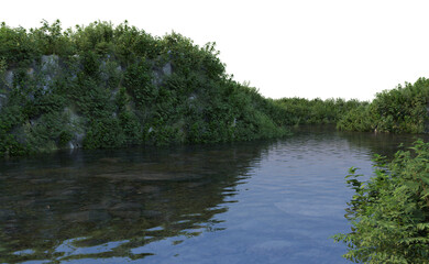 Waterfront plants on a white background.