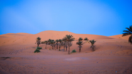 Fototapeta na wymiar Amazing View to the Golden Sahara Desert Sands near the oasis town Taghit, Algeria