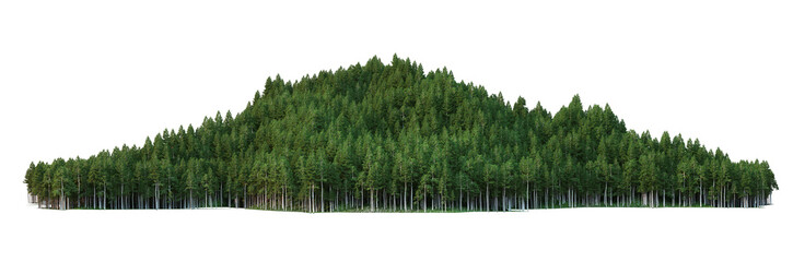 Pine mountain on a white background. © jomphon