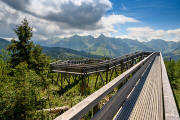 Obraz premium wooden walkway of Gäggersteg in Naturpark Gantrisch