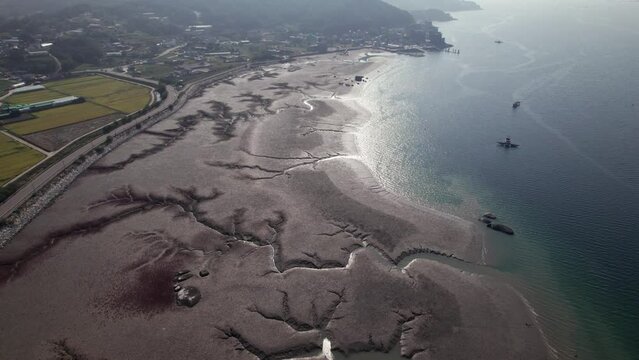 Aerial Drone of Mudflat Beach in Korea Daytime