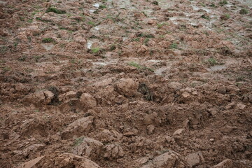 Agricultural land and land preparation before planting