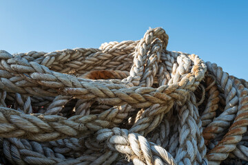 얽힌 밧줄