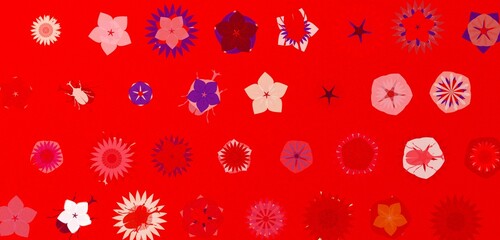 Summer flowers feat. beetles. お祭り赤