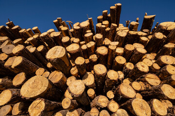 industria de la madera, Cabrejas del Pinar, Soria, Comunidad Autónoma de Castilla, Spain, Europe
